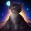读者星期三的猫头像